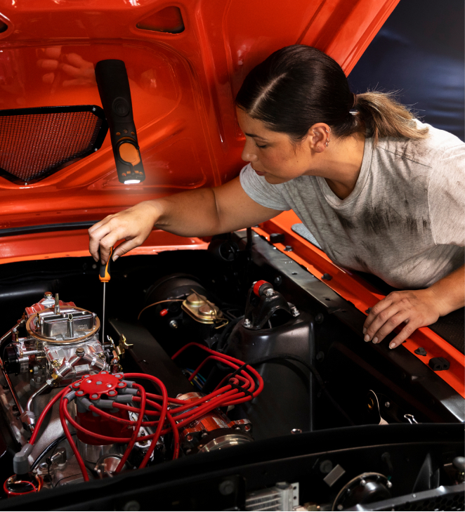 Imagem do Portfólio