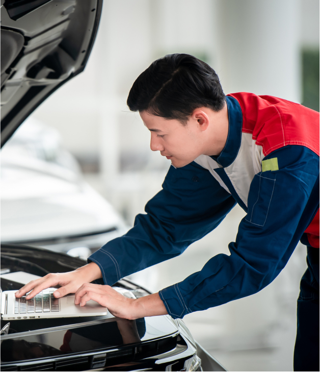 Imagem do Portfólio